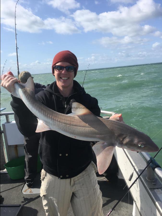 14 lb Smooth-hound (Common) by Unknown