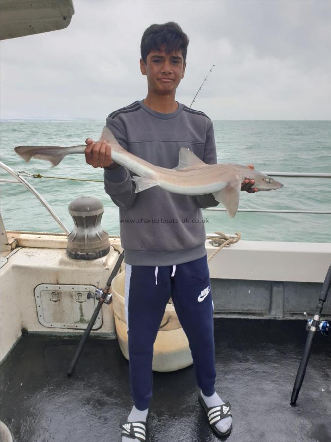 7 lb Smooth-hound (Common) by Bob Marshall