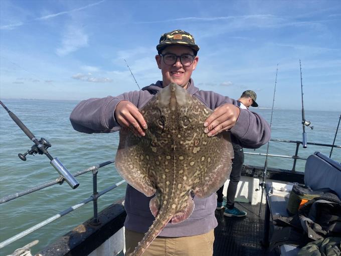 11 lb Thornback Ray by Unknown