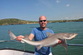 22 lb 10 oz Starry Smooth-hound by Gray Ellis