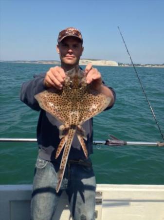 2 lb 4 oz Spotted Ray by Unknown
