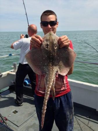 6 lb 8 oz Thornback Ray by Unknown