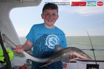 6 lb Starry Smooth-hound by Kieron