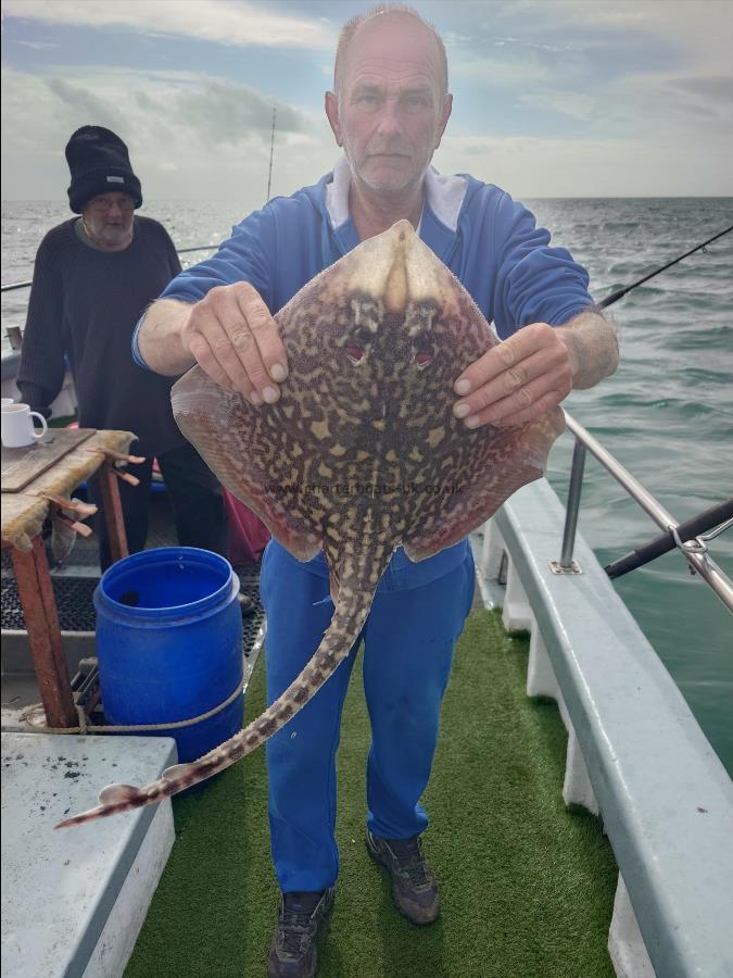 5 lb Thornback Ray by David