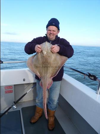 16 lb Undulate Ray by Unknown