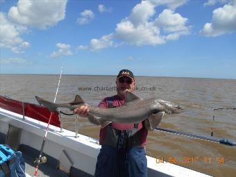 15 lb Starry Smooth-hound by Dave Jones
