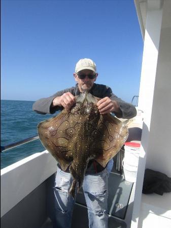 14 lb Undulate Ray by Unknown