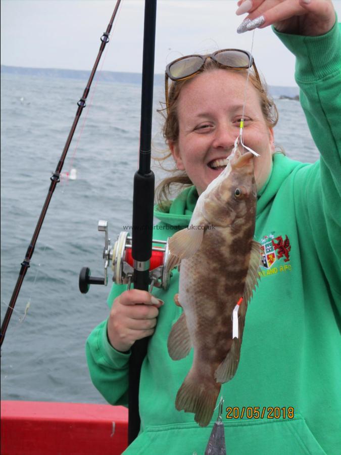 2 lb 8 oz Ballan Wrasse by Sarah