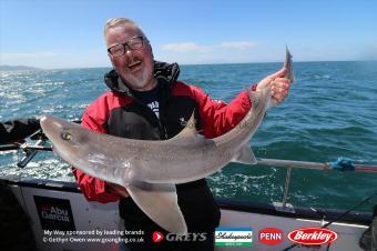 13 lb Starry Smooth-hound by Graham