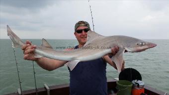 16 lb Smooth-hound (Common) by Adam brend