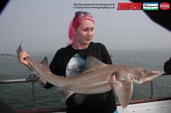 21 lb Starry Smooth-hound by Laura