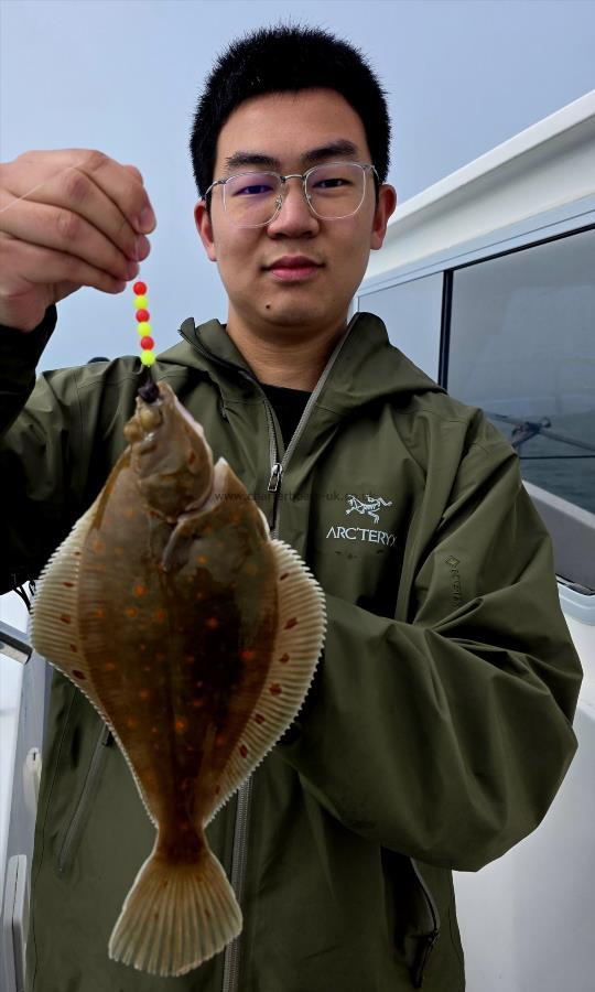 1 lb 8 oz Plaice by Unknown