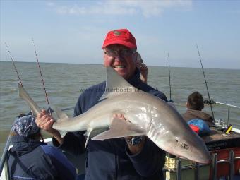 13 lb Smooth-hound (Common) by julian