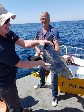 70 lb Blue Shark by Bart from holland
