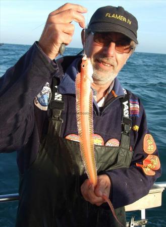 2 oz Red Band Fish by Kevin Clark