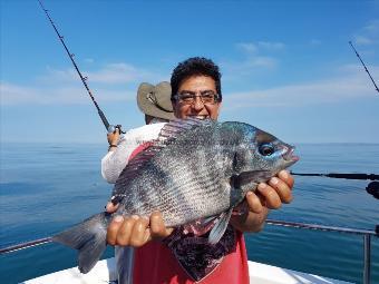 3 lb 5 oz Black Sea Bream by tabish