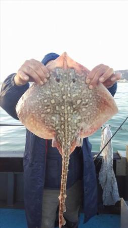 5 lb 4 oz Thornback Ray by Unknown