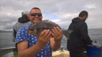 2 lb 8 oz Black Sea Bream by Stephen Wake