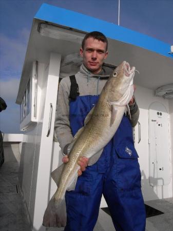 14 lb 8 oz Cod by Unknown