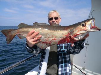 12 lb 6 oz Pollock by Ian Beckingham