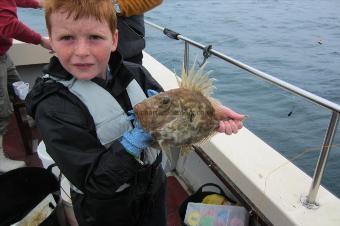 2 lb 12 oz John Dory by Stephen Wake