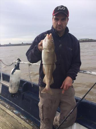 2 lb 6 oz Cod by 5