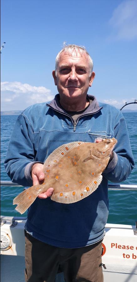 1 Kg Plaice by Mark P