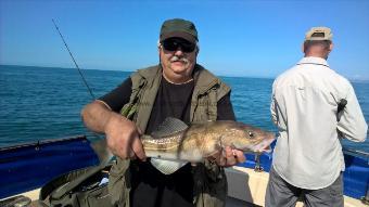 6 lb Cod by Stephen Wake