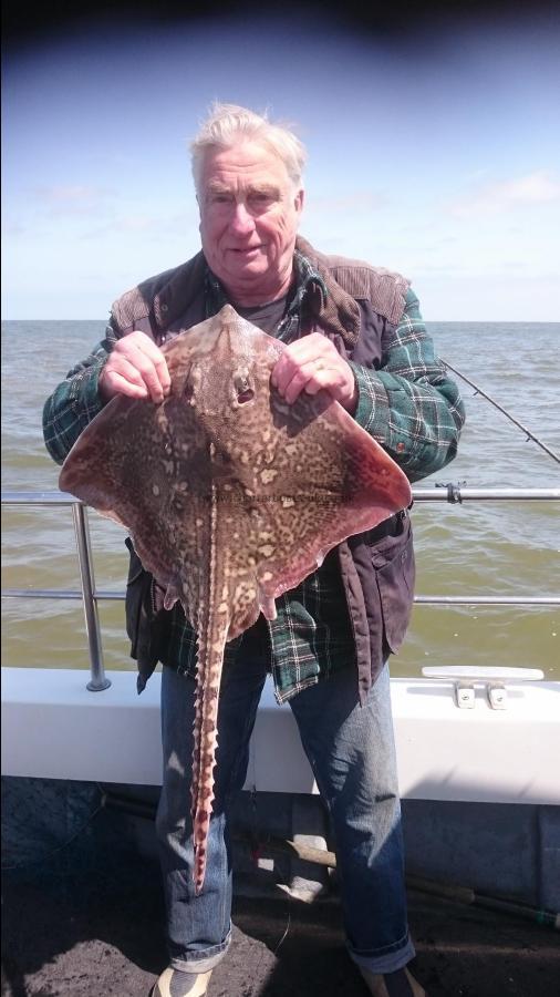 8 lb Thornback Ray by Bob Marshall