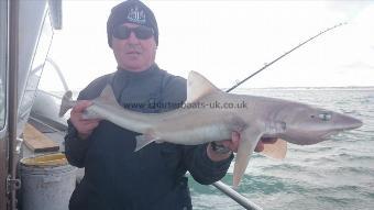 11 lb 6 oz Starry Smooth-hound by John from Broadstairs