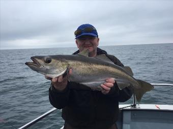 11 lb 2 oz Pollock by Darius