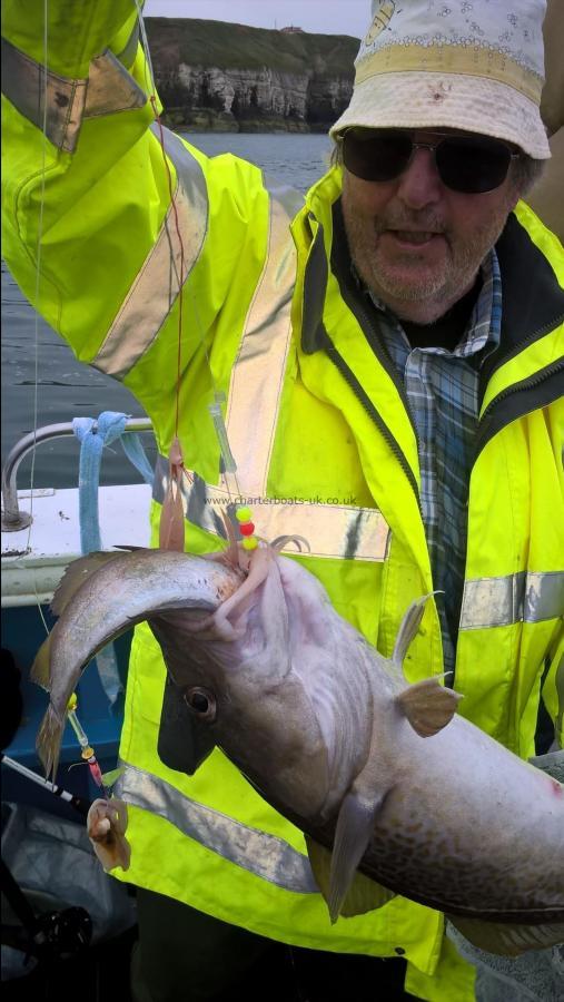 7 lb Cod by Bernie from Cottingham 27th june