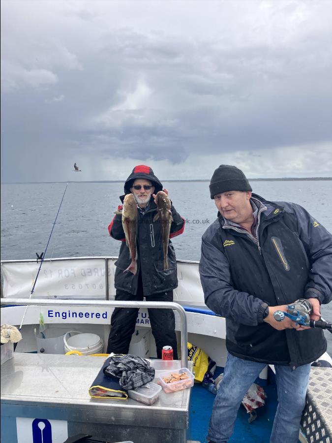 3 lb Cod by Unknown