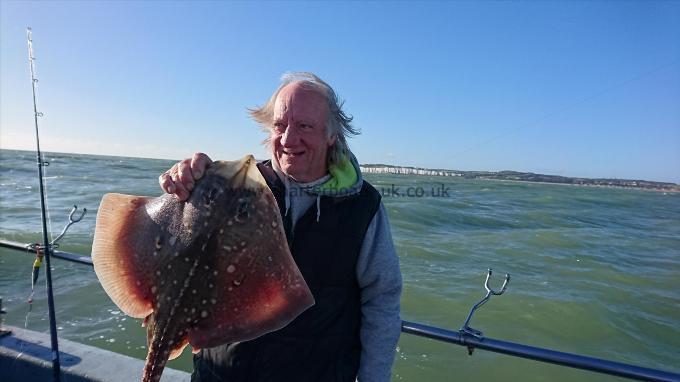 6 lb 5 oz Thornback Ray by Dave the bait from ramsgate