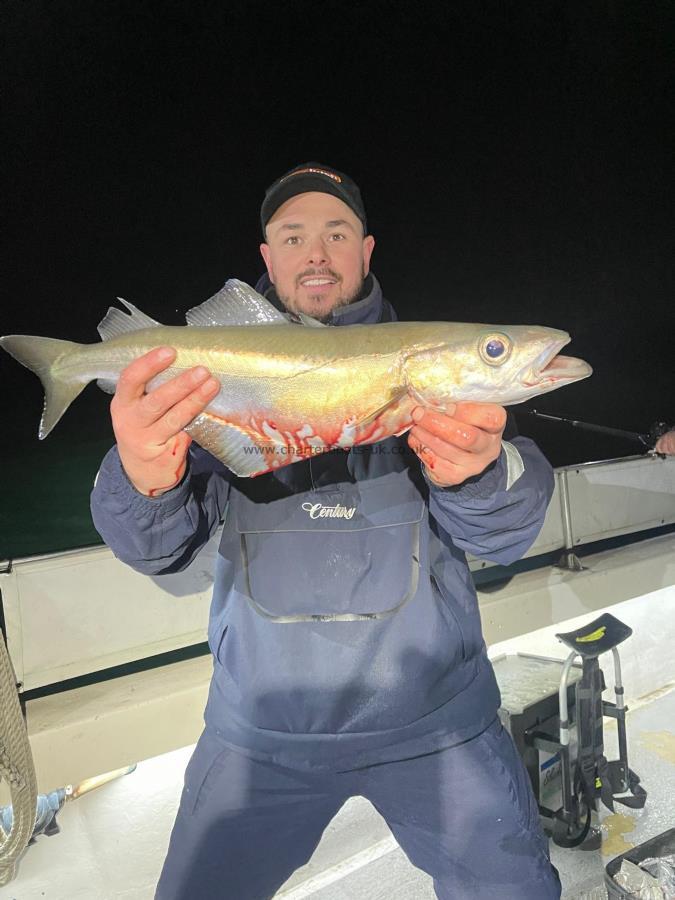 4 lb Pollock by Unknown