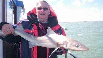6 lb 8 oz Starry Smooth-hound by Danny from london