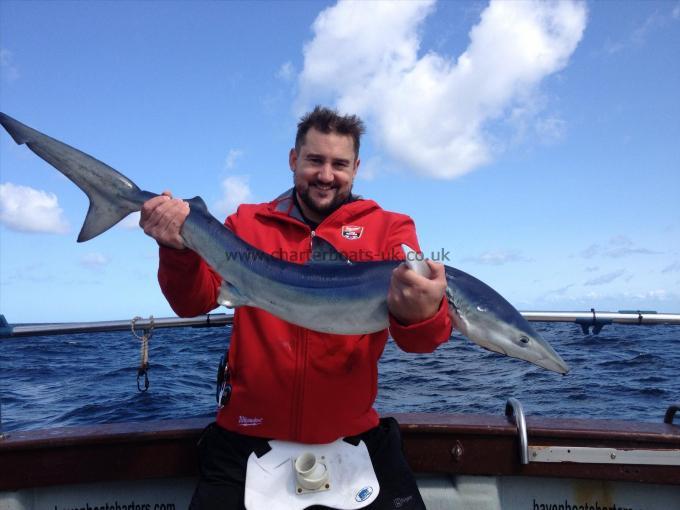 30 lb Blue Shark by CDW