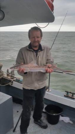 3 lb 10 oz Smooth-hound (Common) by Unknown