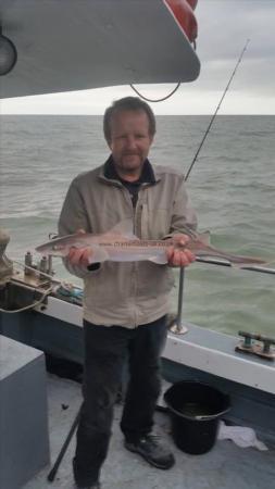 3 lb 10 oz Smooth-hound by Unknown