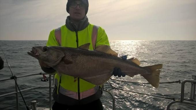 9 lb 12 oz Pollock by unknown