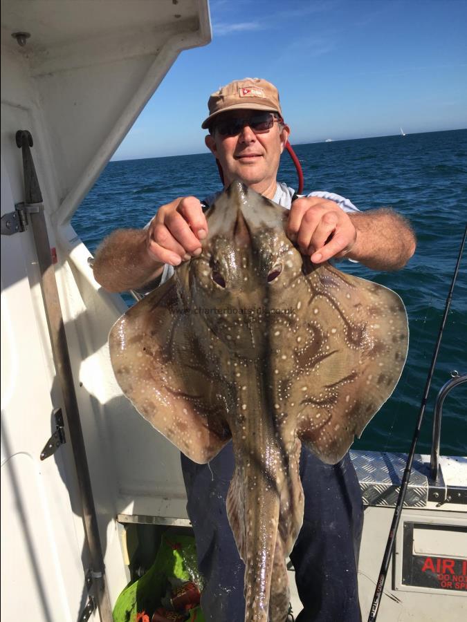 7 lb Undulate Ray by Chris