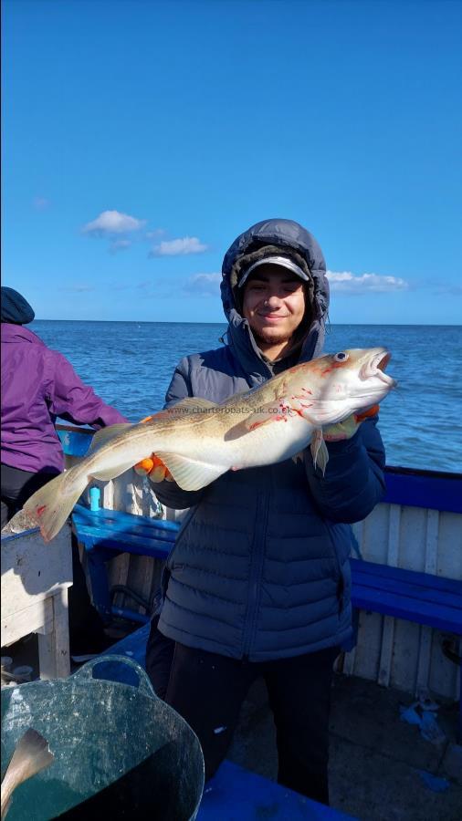 7 lb 10 oz Cod by Unknown