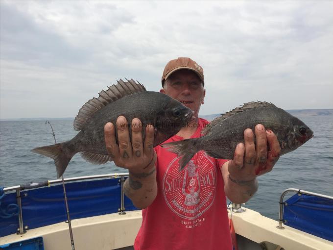 3 lb Black Sea Bream by Carl