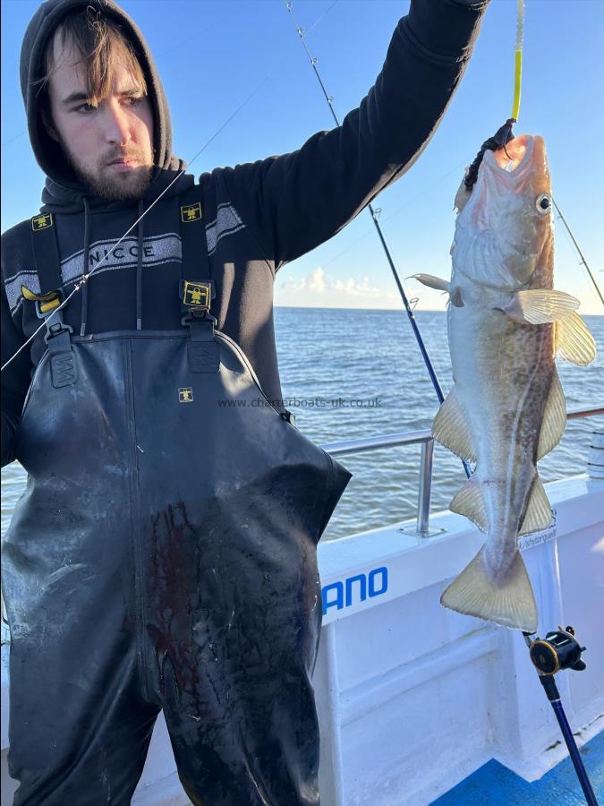 3 lb 6 oz Cod by Fergus.