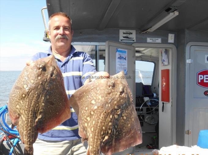 5 lb Thornback Ray by Paul Layton