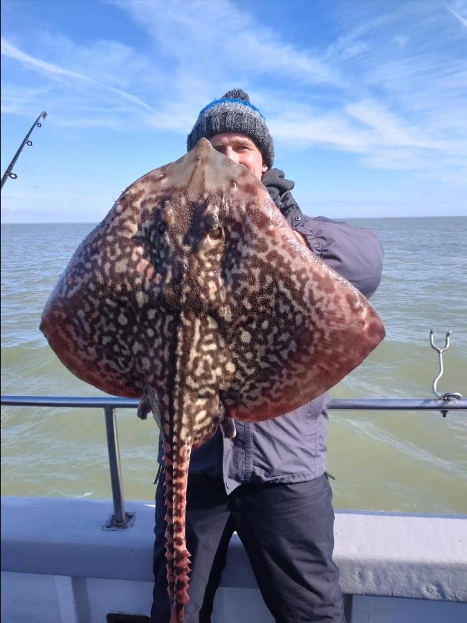 12 lb Thornback Ray by Alex