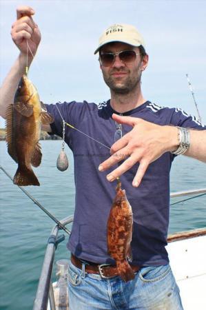 2 lb Ballan Wrasse by Rob Sharpe