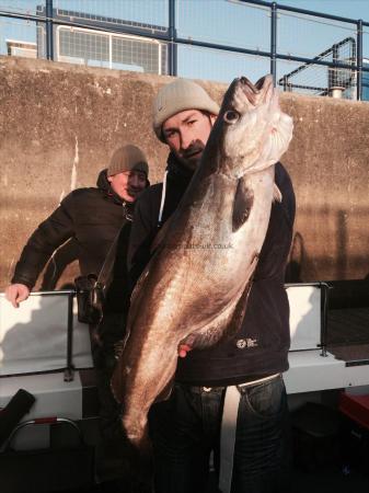 7 lb Pollock by Mikey