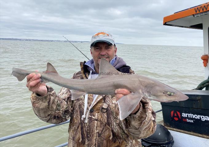 5 lb Smooth-hound (Common) by Unknown