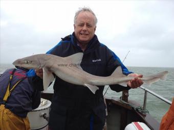 8 lb Smooth-hound (Common) by Dave F